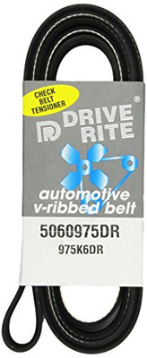 DAYCO 5060975DR SERPENTINE BELT DAYCO 5060975DR SERPENTINE BELT