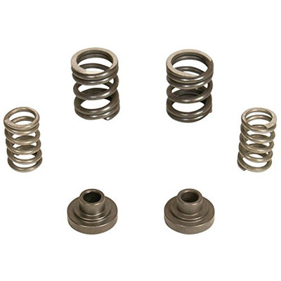 BD DIESEL 1040187 GOV SPRINGKIT DGE 5.9 12V BD DIESEL 1040187 GOV SPRINGKIT DGE 5.9 12V