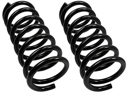 MOOG 81393 COIL SPRING SET