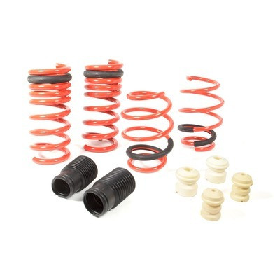 Eibach Sportline Kit for 2015 Mustang GT 5.0L V8