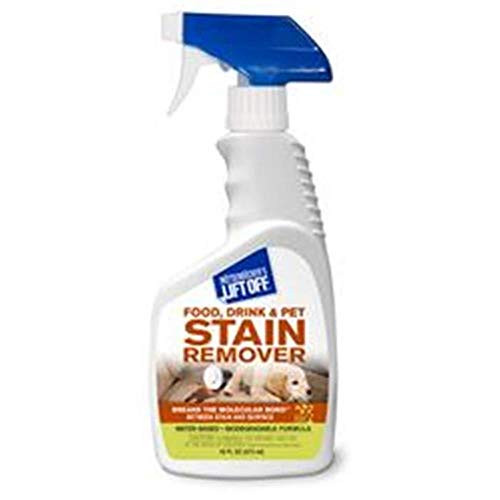 STONER 45506 FOOD DRINK & PET STAIN REMOVER