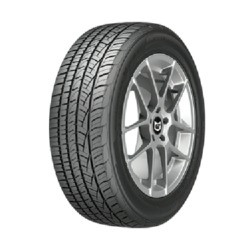 GENERAL 15553950000 245/55R18 G-MAX JUSTICE