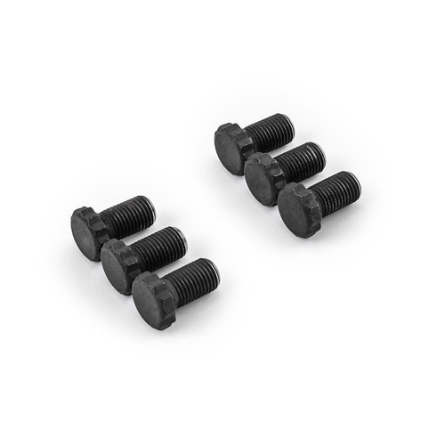 Speedmaster PCE225.1001 Universal Chevy SBC BBC Ford SB BB Cleveland Auto Flexplate Bolt Kit 12Pt