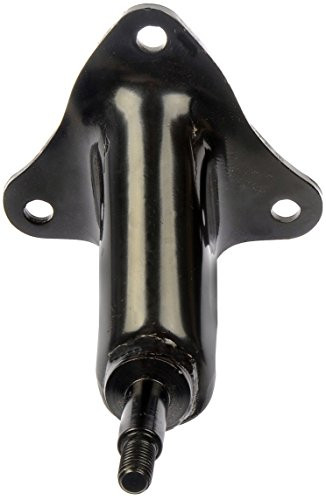 Dorman 924407 Shock Mount for Select Ford Models