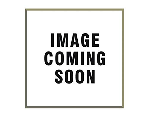 C.T. JOHNSON RH2XL CLASS 2 RECEVR HITCH LOCK