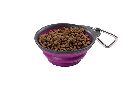 DEXAS PW20043224 1 CUP COLLAPSIBLE TRAVEL CUP FUCHSI