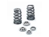 SPT Beehive Valve Spring Kits