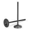 SPT Intake Valves