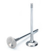 SPT Exhaust Valves