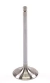 GSC Powersports Intake Valves
