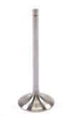 GSC Powersports Intake Valves