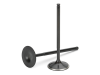 SPT Intake Valves