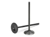 SPT Intake Valves