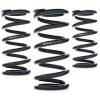 AST Linear Race Springs