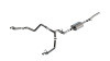 BOR Cat Back S-Type