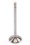 GSC Exhaust Valves -STD