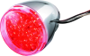 BKC Turn Signal D