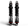 PGR 494 Shocks
