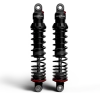 PGR 494 Shocks