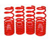 BX Lowering Springs