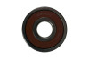 ACT Pilot Bearing