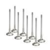 SPT Exhaust Valves