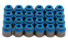 GSC Valve Stem Seal Sets