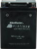 BKM Batteries - AGM