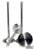 GSC Exhaust Valve Sets -STD