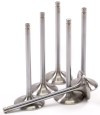 GSC Powersports Intake Valve Sets