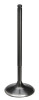 SPT Intake Valves