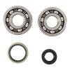 HDS Main Bearing & Seal Kit
