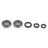 ATH Main Bearing & Seal Kit