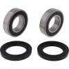 PIV Wheel Bearing Kit