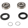 PIV Swing Arm Kit