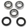 PIV Wheel Bearing Kit