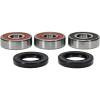 PIV Wheel Bearing Kit