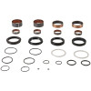 PIV Fork Rebuild Kit