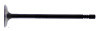 HOC Exhaust Valve
