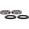 PIV Wheel Bearing Kit
