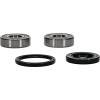 PIV Wheel Bearing Kit