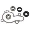 HDS Water Pump Kit