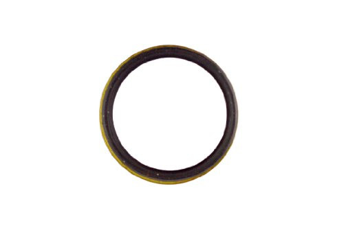 DANA SPICER 286418 SEAL