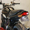 NEW Fender Eliminator