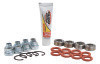 PIV Shock Kit
