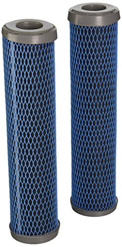 CULLIGAN INT D15 TASTE/ODOR CARTRIDGE 2PK