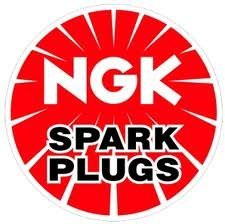 NGK SPARKPLUGS 4214
