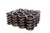 COMP CAMS 91016 OUTER W/ DAMPNER