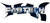 FABTECH FTS137 6COIL FRD F250/350 DIESL