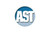 Assenmacher AH5704 F SPECIALTY TOOLS, INC MERCEDES BENZ CARTRIDGE F/AH5700*